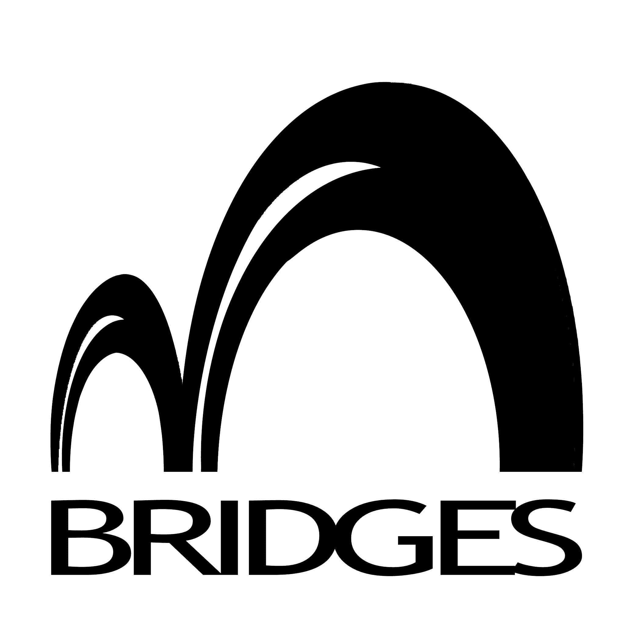 Progetto Bridges